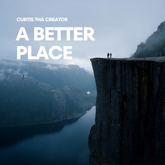 A Better Place 2